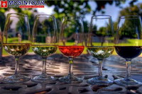 франция укрепит позиции в сфере винного туризма